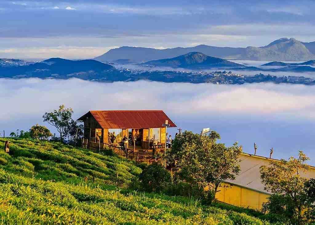 Cabin gỗ trên núi Đà Lạt giữa biển sương